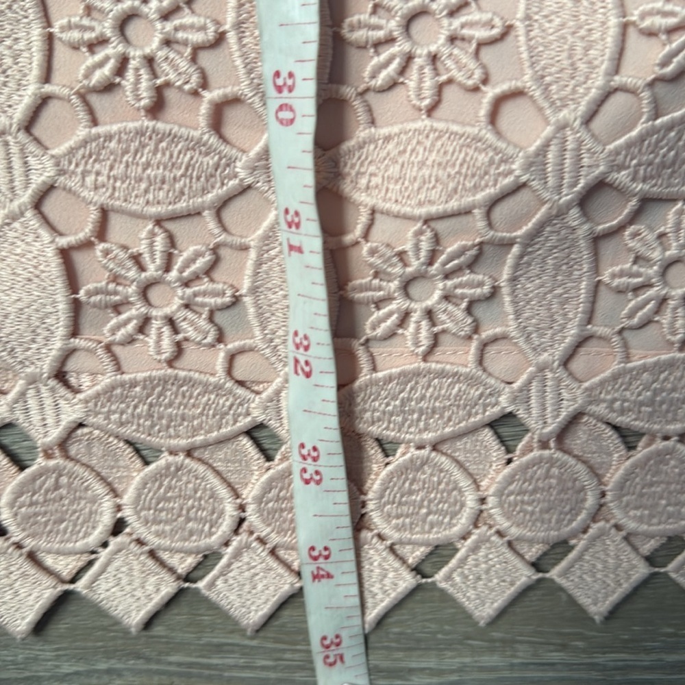 Sandro Paris Manureva Pink Lace Dress 6 - Picture 12 of 15